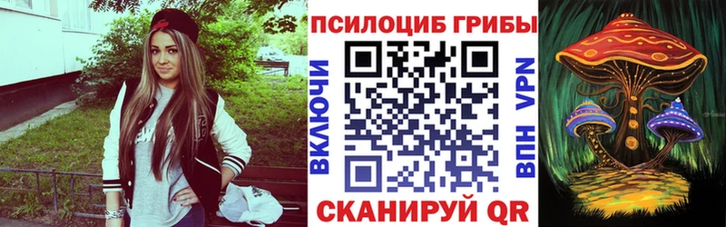 Псилоцибиновые грибы Psilocybe  купить  цена  гидра как войти  Покров 